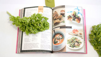 cookbook laying open with photos of finished dishes and a large leaf of lettuce